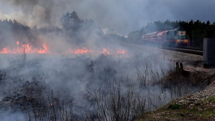 Пожары в Житомирской области. Фото - Виталий Юшкевич