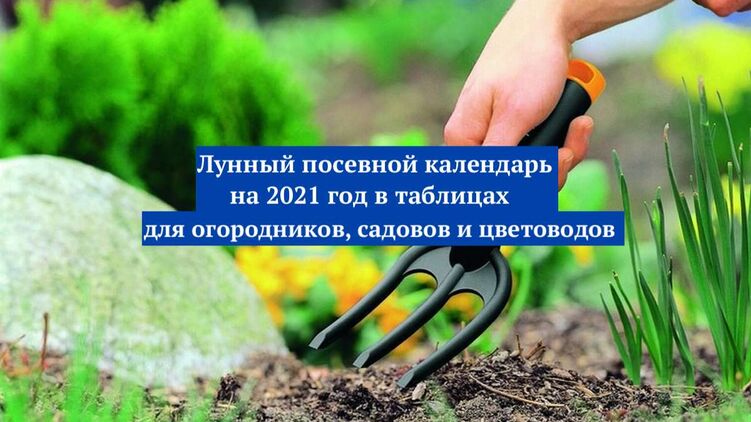 Лунный посевной календарь на 2021 год для огородников, садоводов и цветоводов