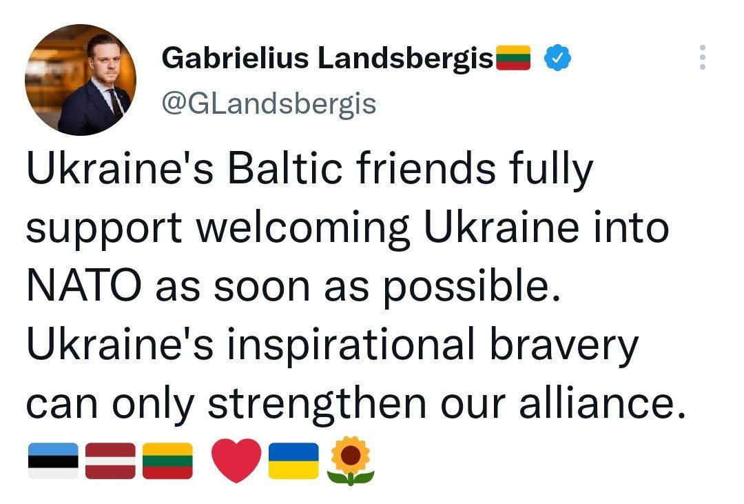 Страны Балтии поддерживают вступление Украины в НАТО