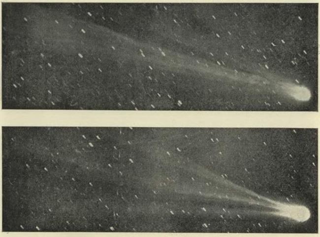 Комета Свифта-Таттла, из-за которой происходит метеорный поток Персеиды. Фото Википедия