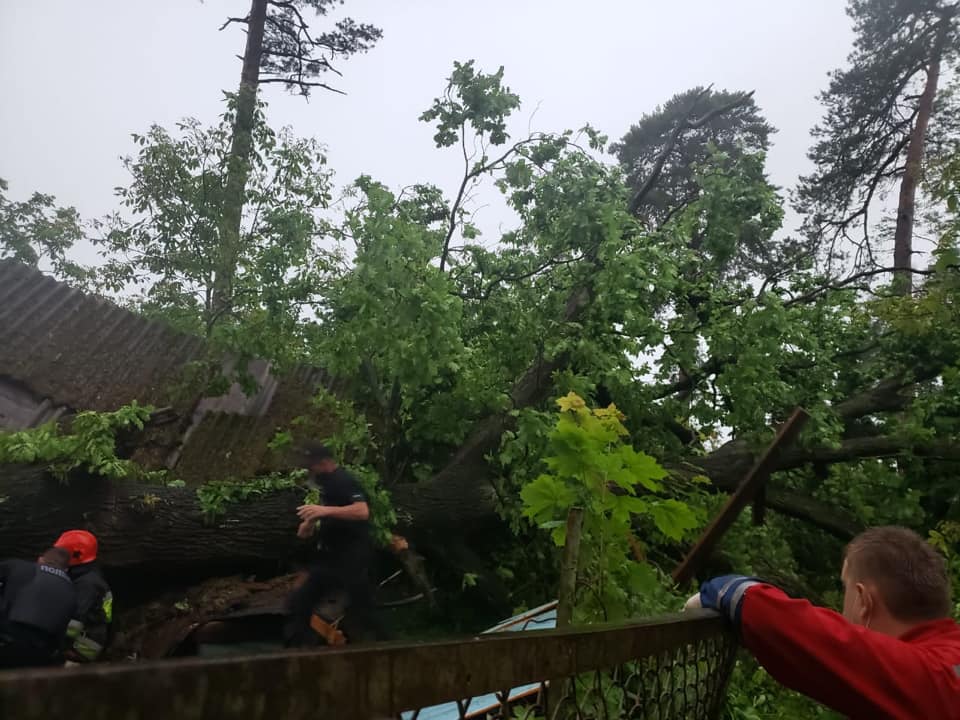 Во время бури во Львове погибла женщина