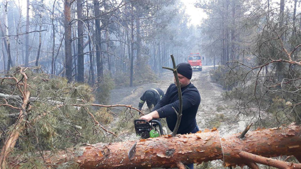 Фото: ГСЧС