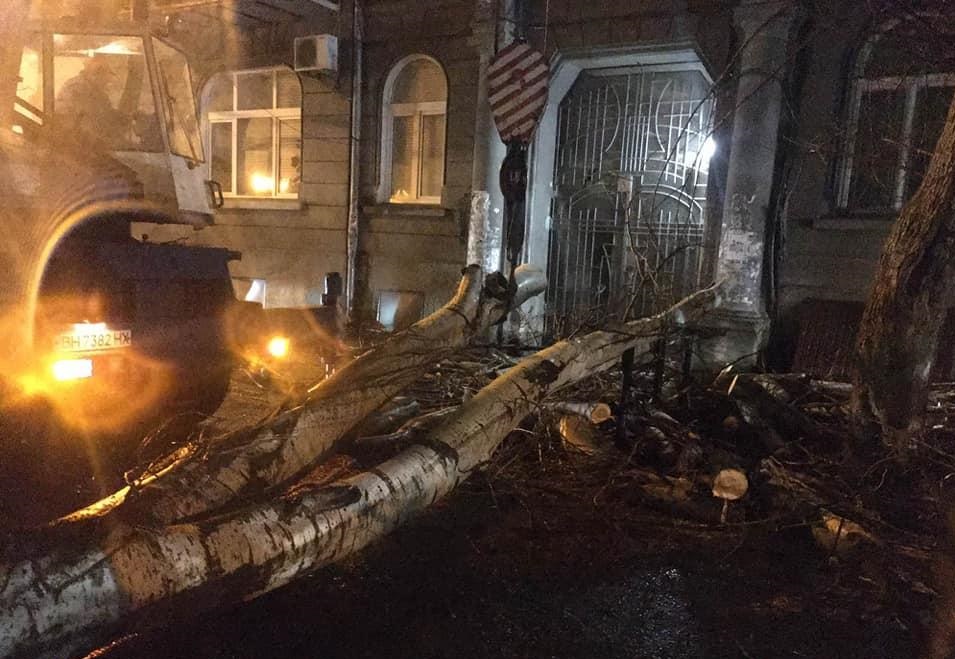 Ветер в Одессе повалил 50 деревьев. Фото: Мэрия Одессы