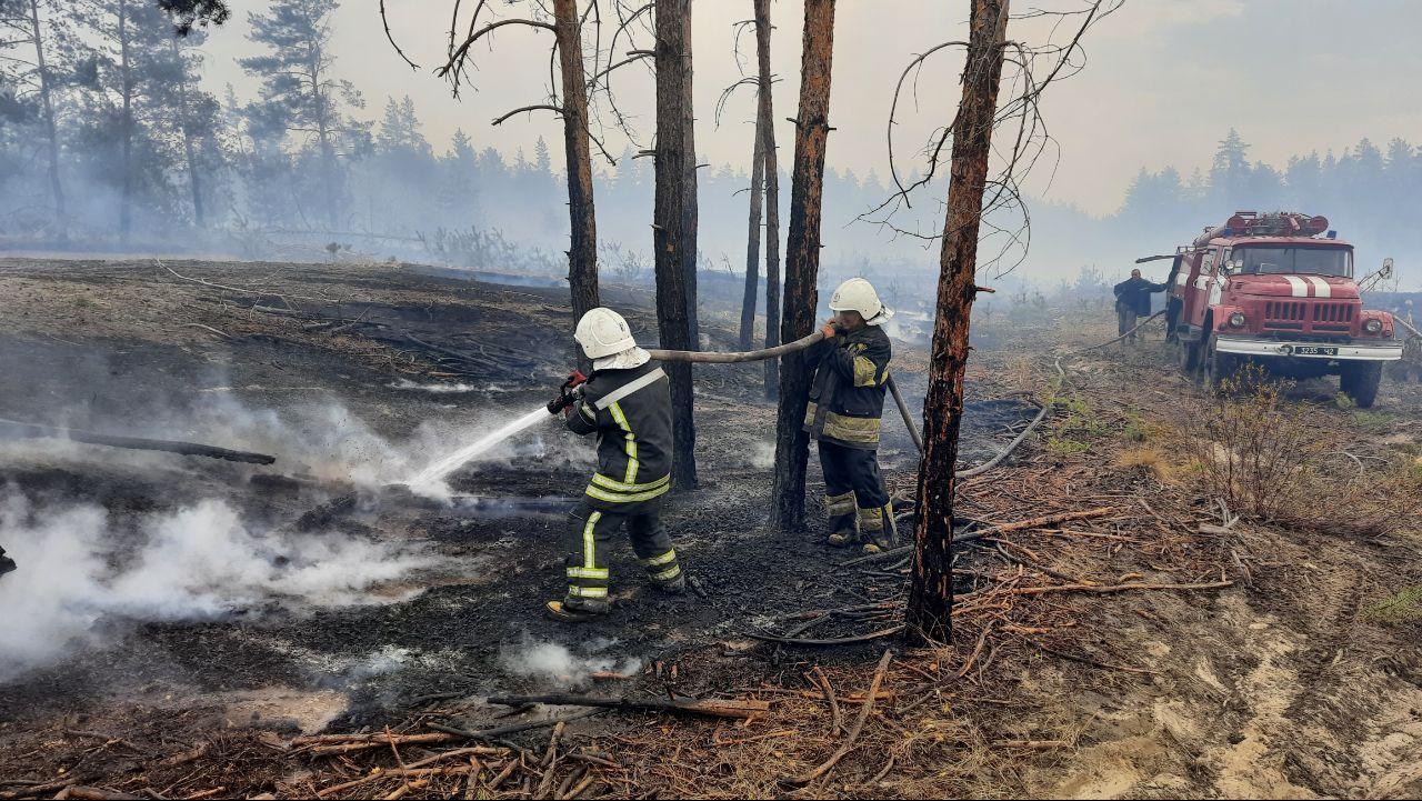 В Луганской области продолжают тушить лесные пожары. Фото: dsns.gov.ua