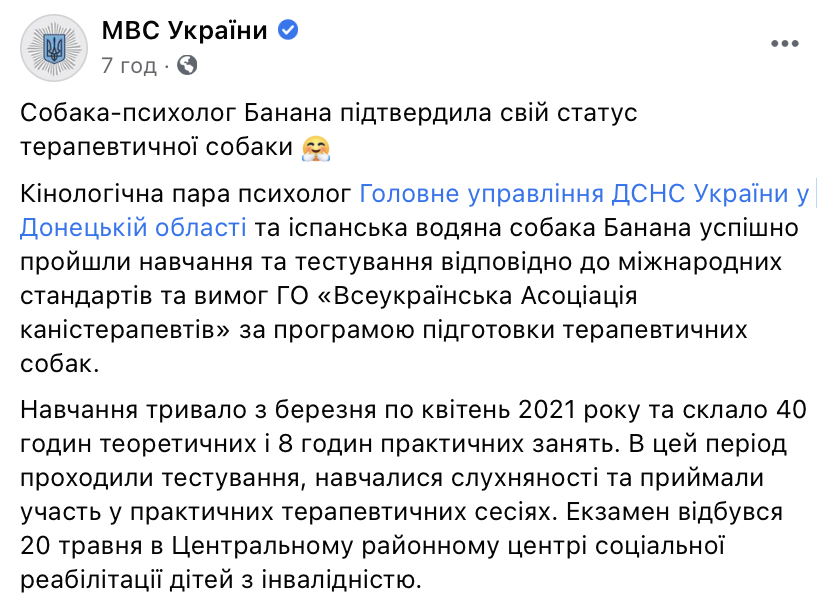 В Донецкой области собака-психолог из ГСЧС выучилась на терапевта и получила диплом. Фото